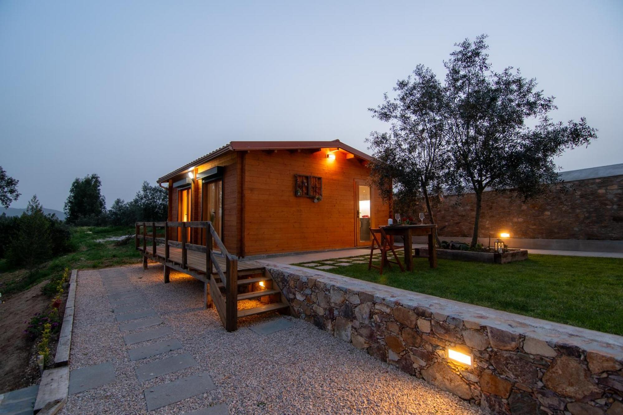 Quinta Do Esteval Penacova Zewnętrze zdjęcie